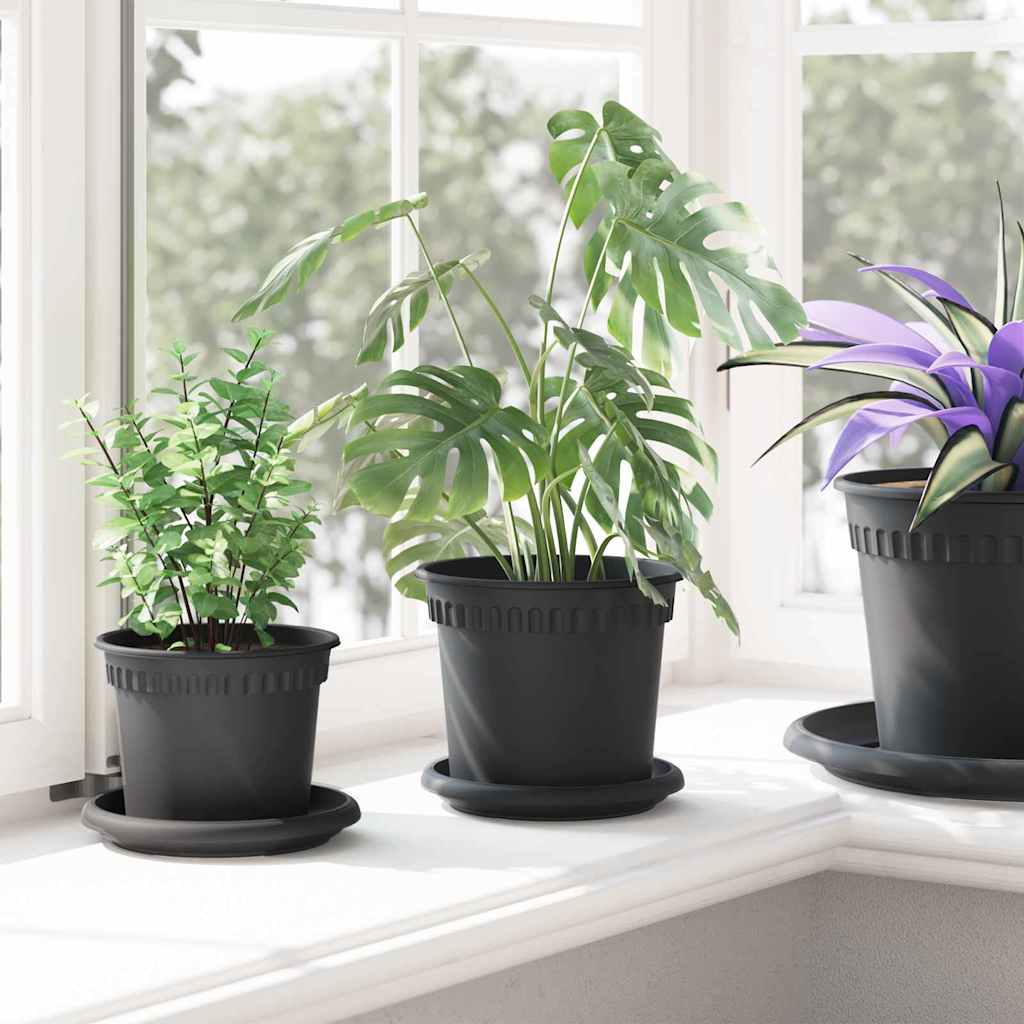 Vassoio Rotondo per Fiori 6 pcs Nero Ø 14 x 2 cm Plastica