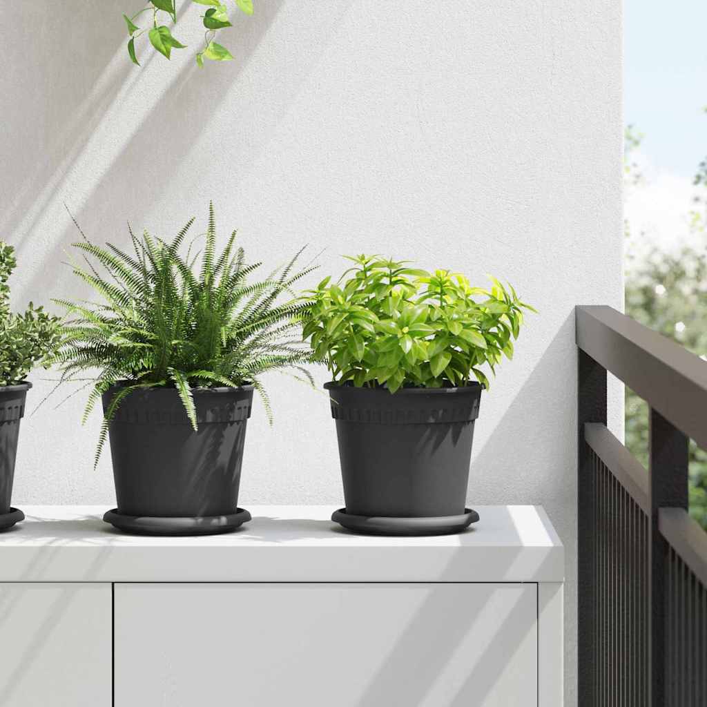 Vassoio Rotondo per Fiori 6 pcs Nero Ø 15,5 x 2 cm Plastica