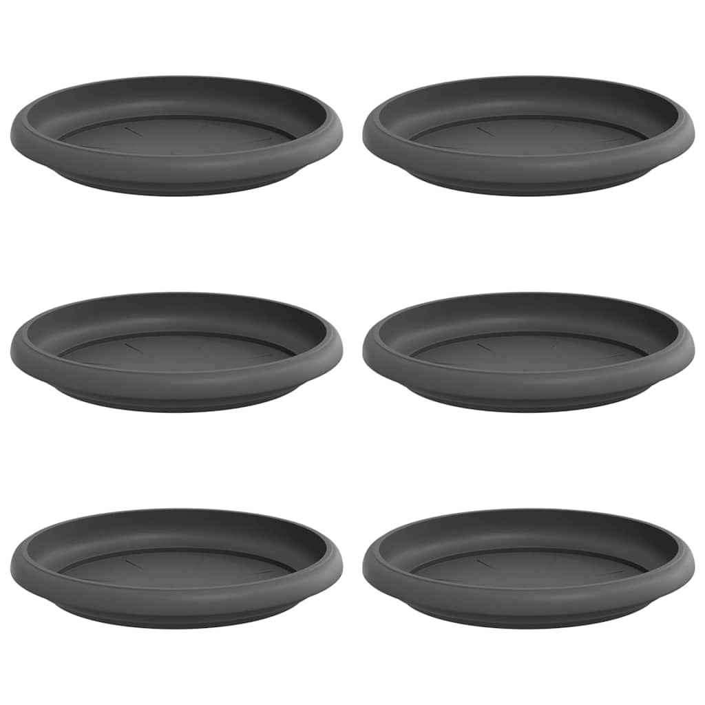 Vassoio Rotondo per Fiori 6 pcs Nero Ø 15,5 x 2 cm Plastica