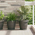 Vassoio Rotondo per Fiori 6 pcs Nero Ø 14 x 2 cm Plastica