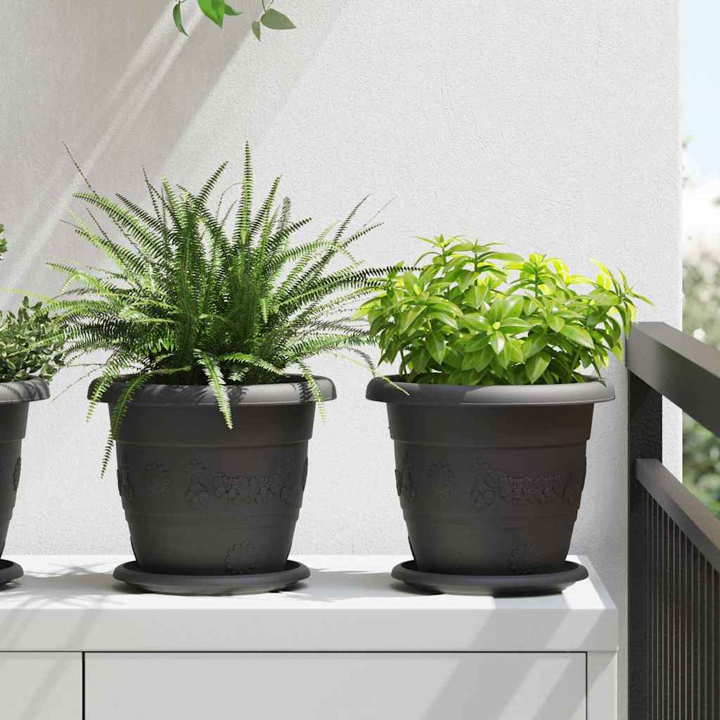Vassoio Rotondo per Fiori 24 pcs Nero Ø 17,5 x 2 cm Plastica