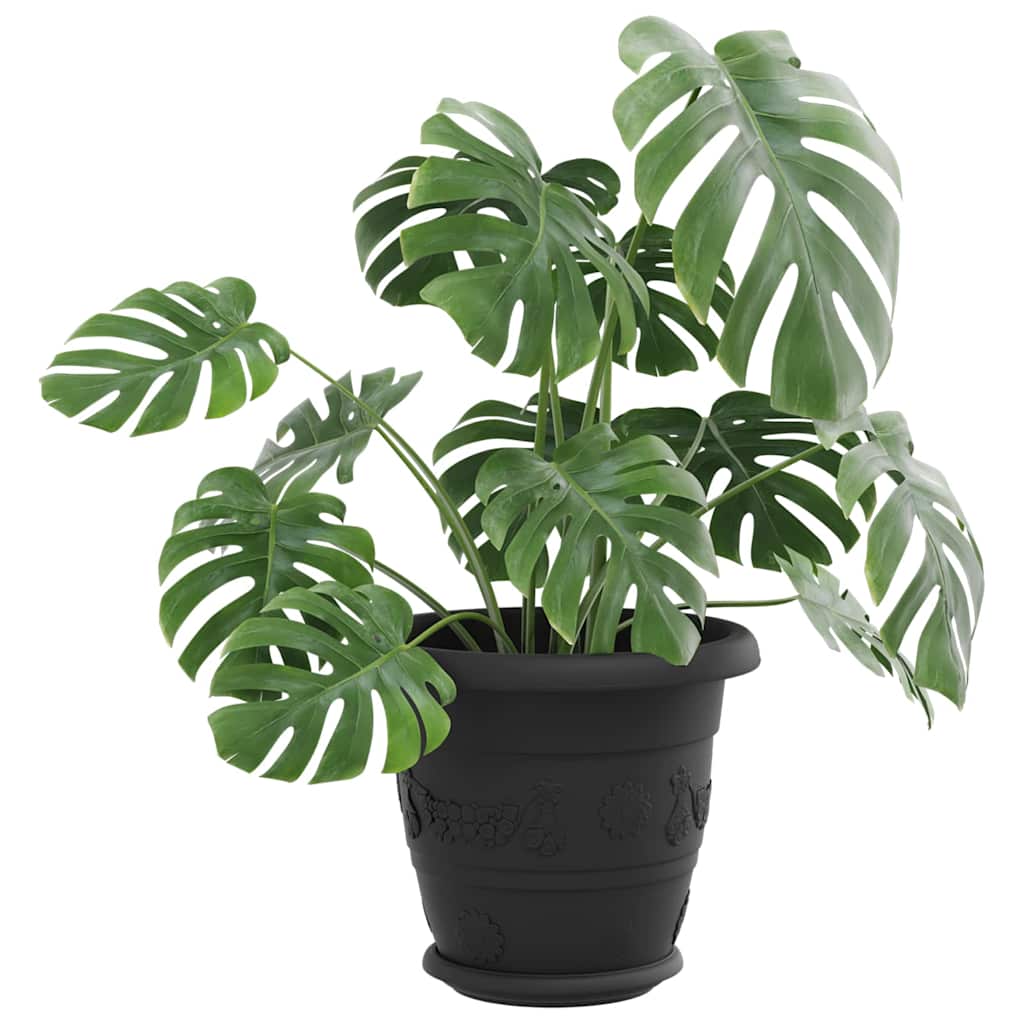 Vassoio Rotondo per Fiori 24 pcs Nero Ø 17,5 x 2 cm Plastica
