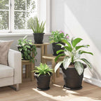 Vassoio Rotondo per Fiori 24 pcs Nero Ø 19 x 2 cm Plastica