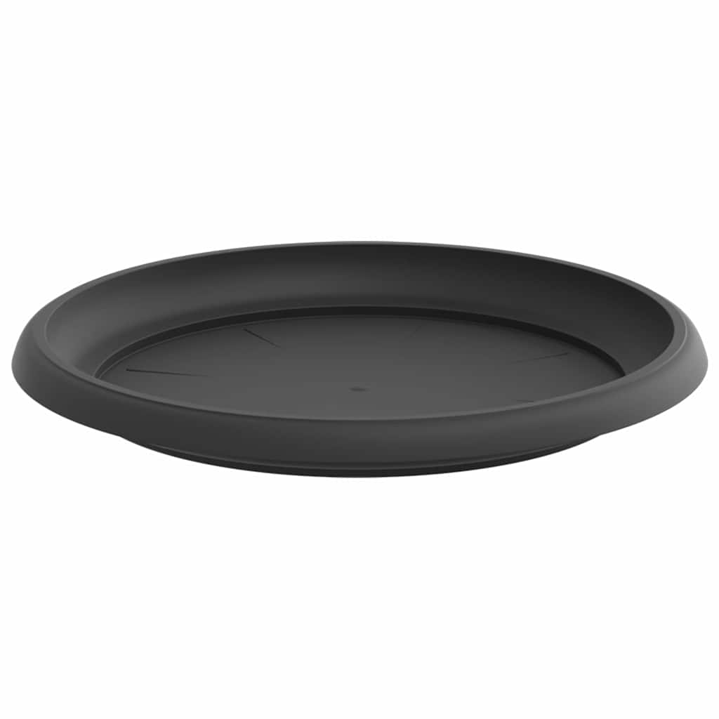 Vassoio Rotondo per Fiori 24 pcs Nero Ø 23,5 x 2,5 cm Plastica