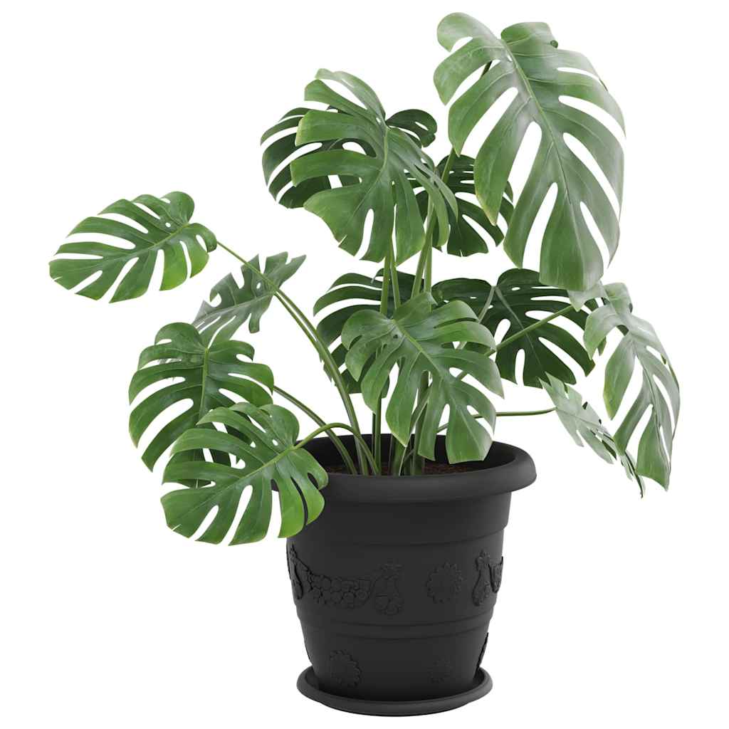 Vassoio Rotondo per Fiori 24 pcs Nero Ø 27 x 2,5 cm Plastica