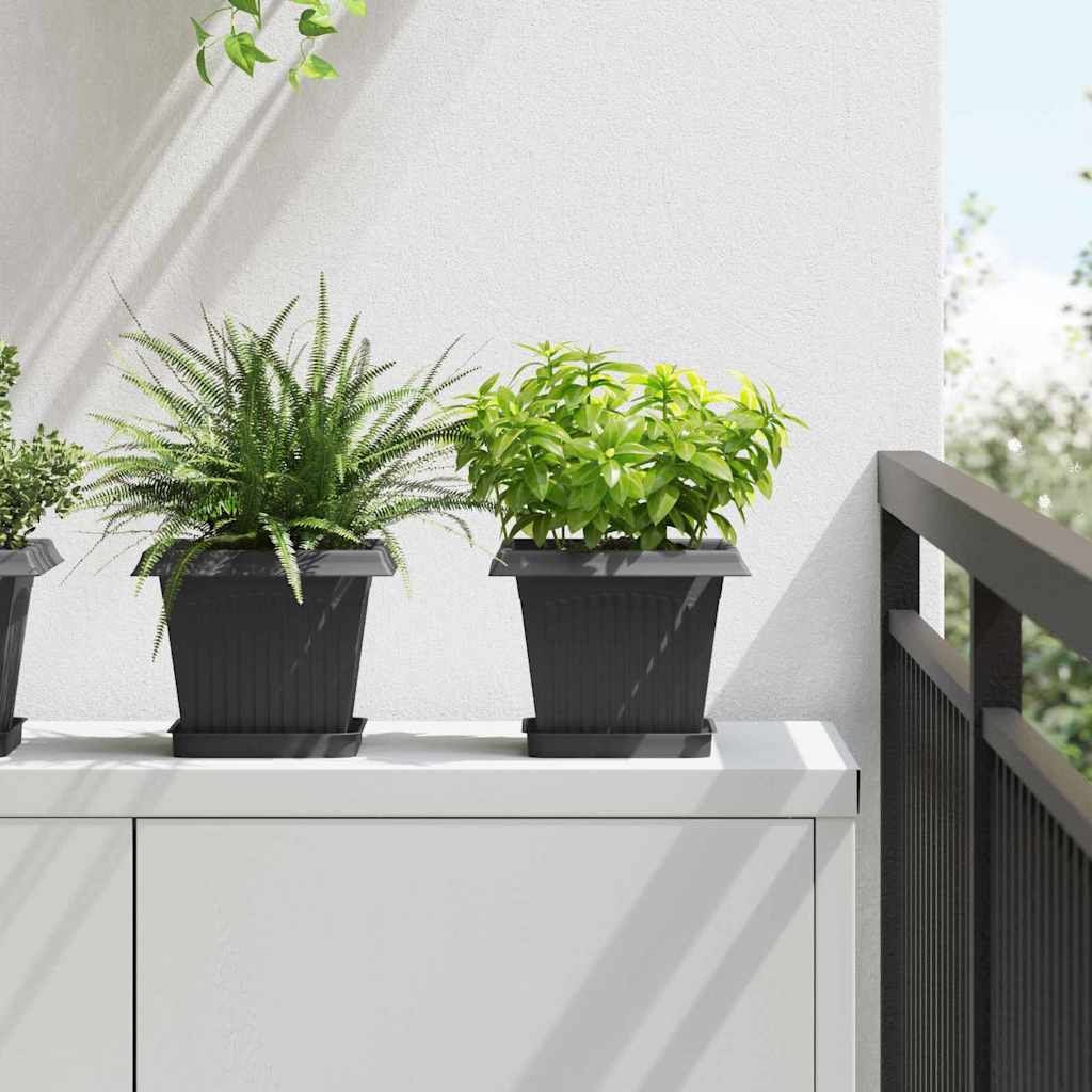 Vaso quadrato per fiori 6 pcs Nero 20 x 20 x 16 cm Plastica