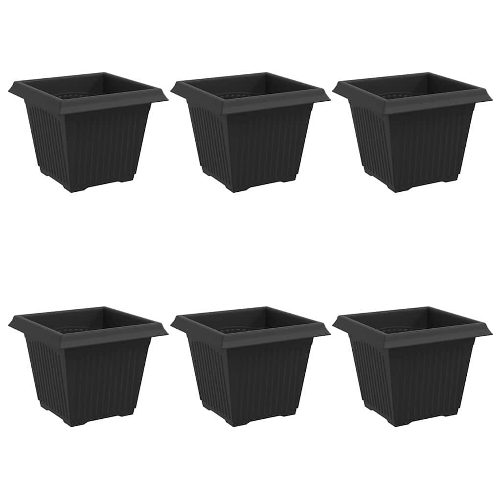 Vaso quadrato per fiori 6 pcs Nero 20 x 20 x 16 cm Plastica