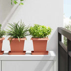 Vaso quadrato per fiori 24 pcs Rosso Mattone 16 x 16 x 14 cm