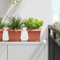 Vaso quadrato per fiori 24 pcs Rosso Mattone 23 x 23 x 17,5 cm