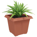 Vaso quadrato per fiori 24 pcs Rosso Mattone Plastica