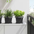 Vaso quadrato per fiori 24 pcs Nero 23 x 23 x 17,5 cm Plastica