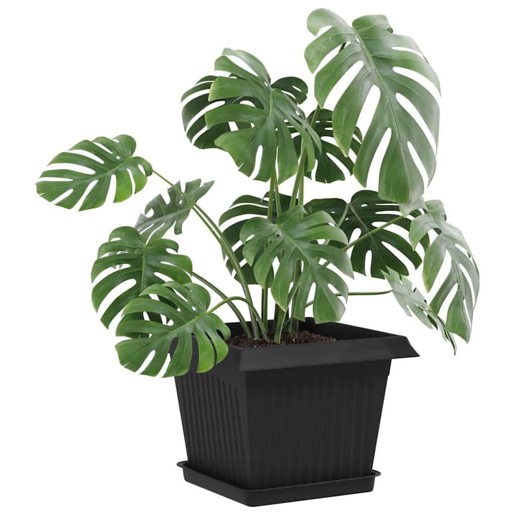 Vassoio Quadrato per Fiori 6 pcs Nero 18 x 18 x 2 cm Plastica