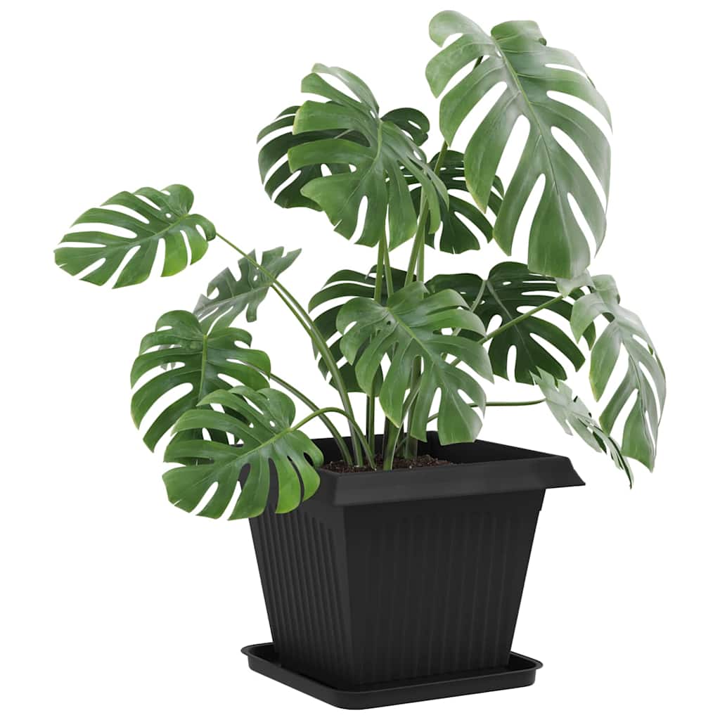 Vassoio Quadrato per Fiori 6 pcs Nero 32 x 32 x 2,5 cm Plastica