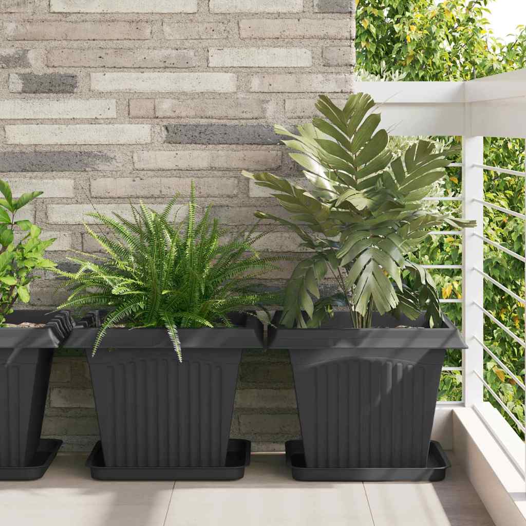 Vassoio Quadrato per Fiori 6 pcs Nero 36 x 36 x 2.5 cm Plastica