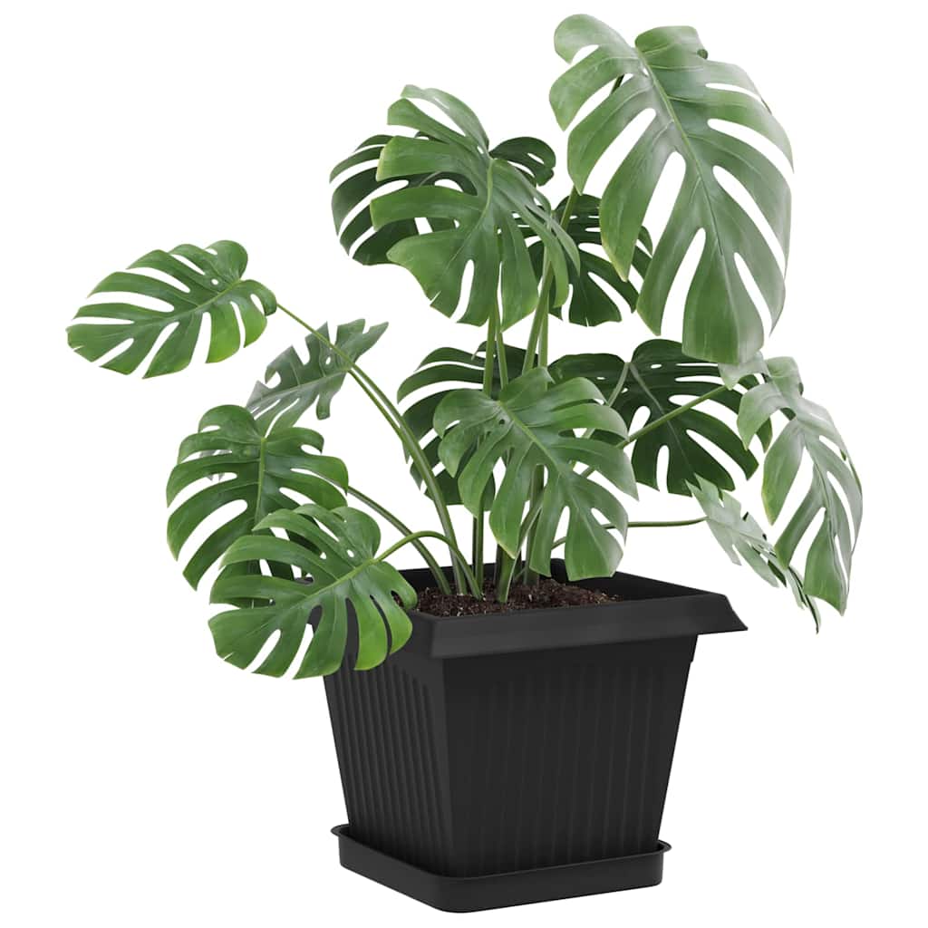 Vassoio Quadrato per Fiori 24 pcs Nero 15 x 15 x 2 cm Plastica