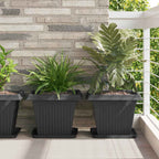 Vassoio Quadrato per Fiori 24 pcs Nero 32 x 32 x 2,5 cm