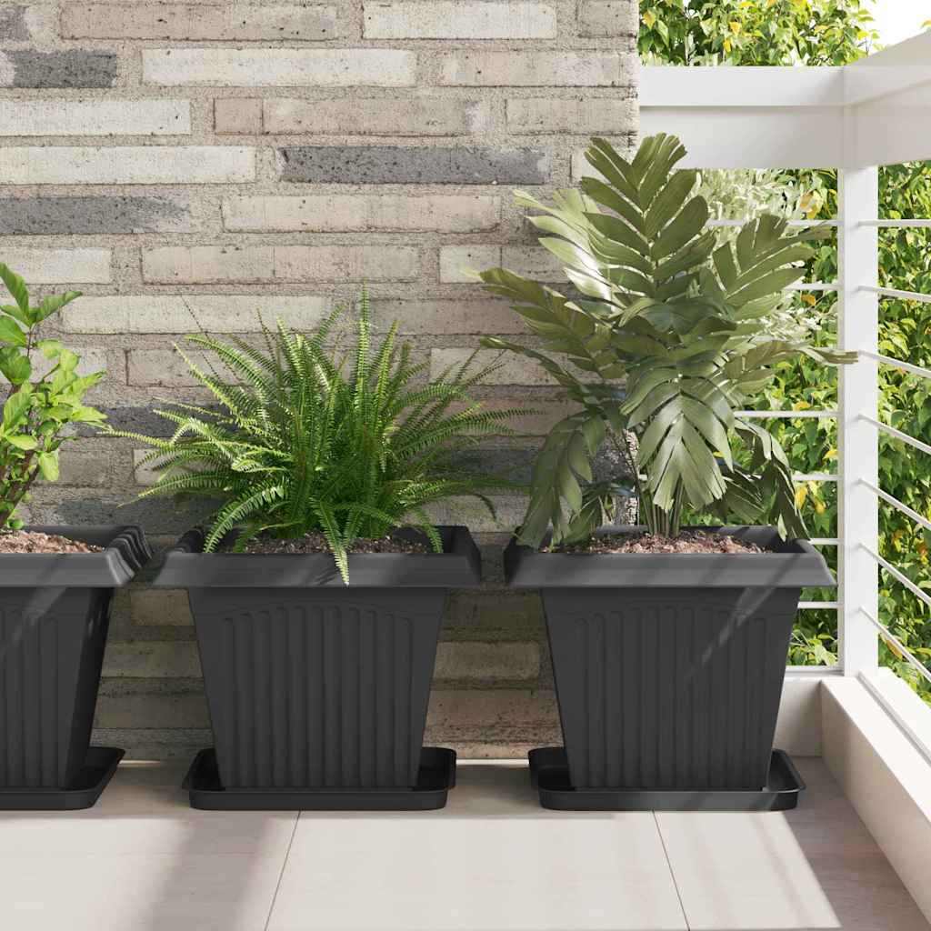 Vassoio Quadrato per Fiori 24 pcs Nero 32 x 32 x 2,5 cm