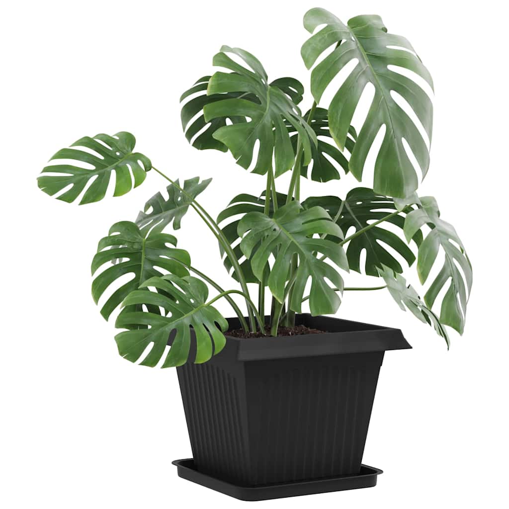 Vassoio Quadrato per Fiori 24 pcs Nero 36 x 36 x 2.5 cm