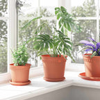 Vasi per Piante 6 pcs Rosso Mattone Ø 19 x 16 cm Plastica