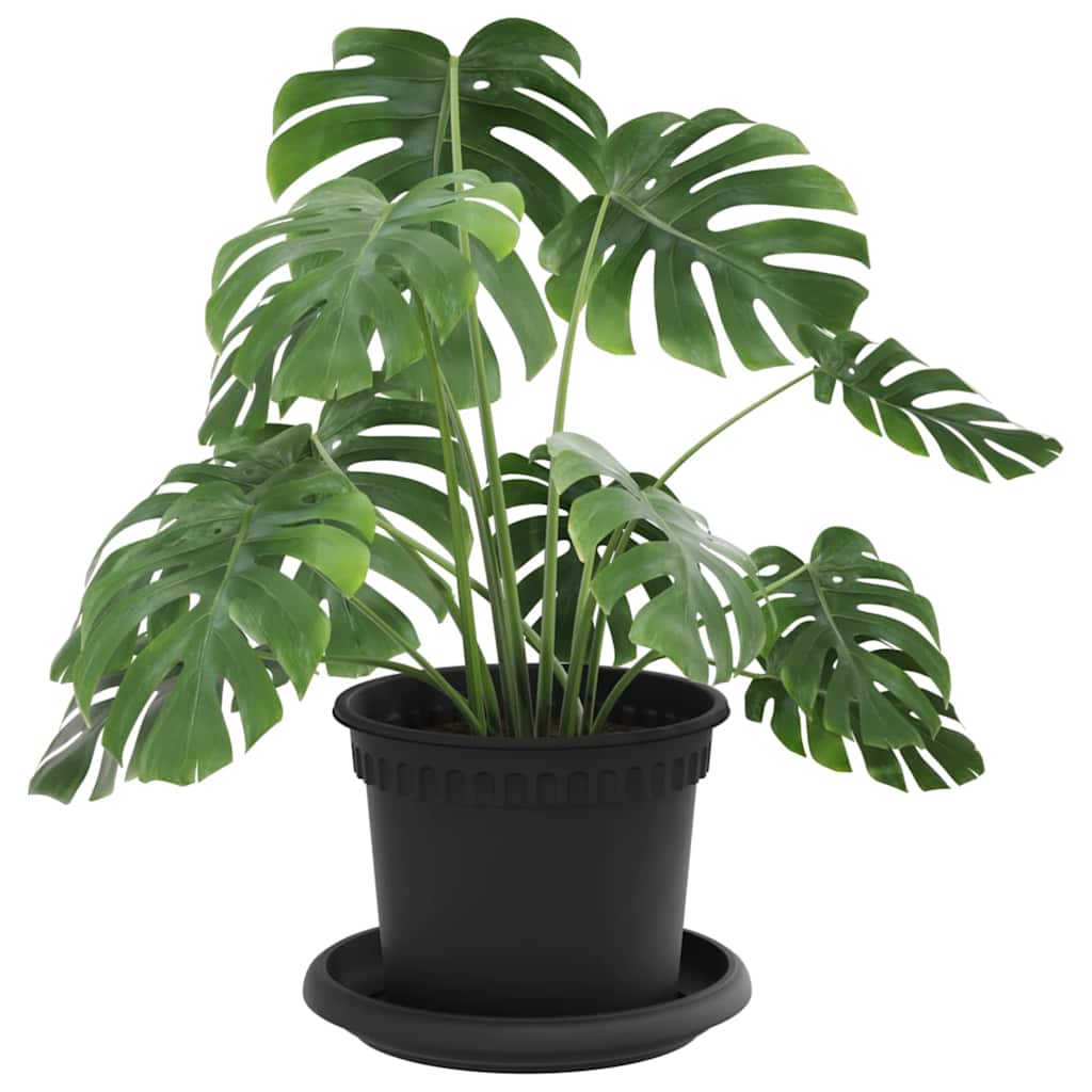 Vasi per Piante 6 pcs Nero Ø 12,5 x 10 cm Plastica