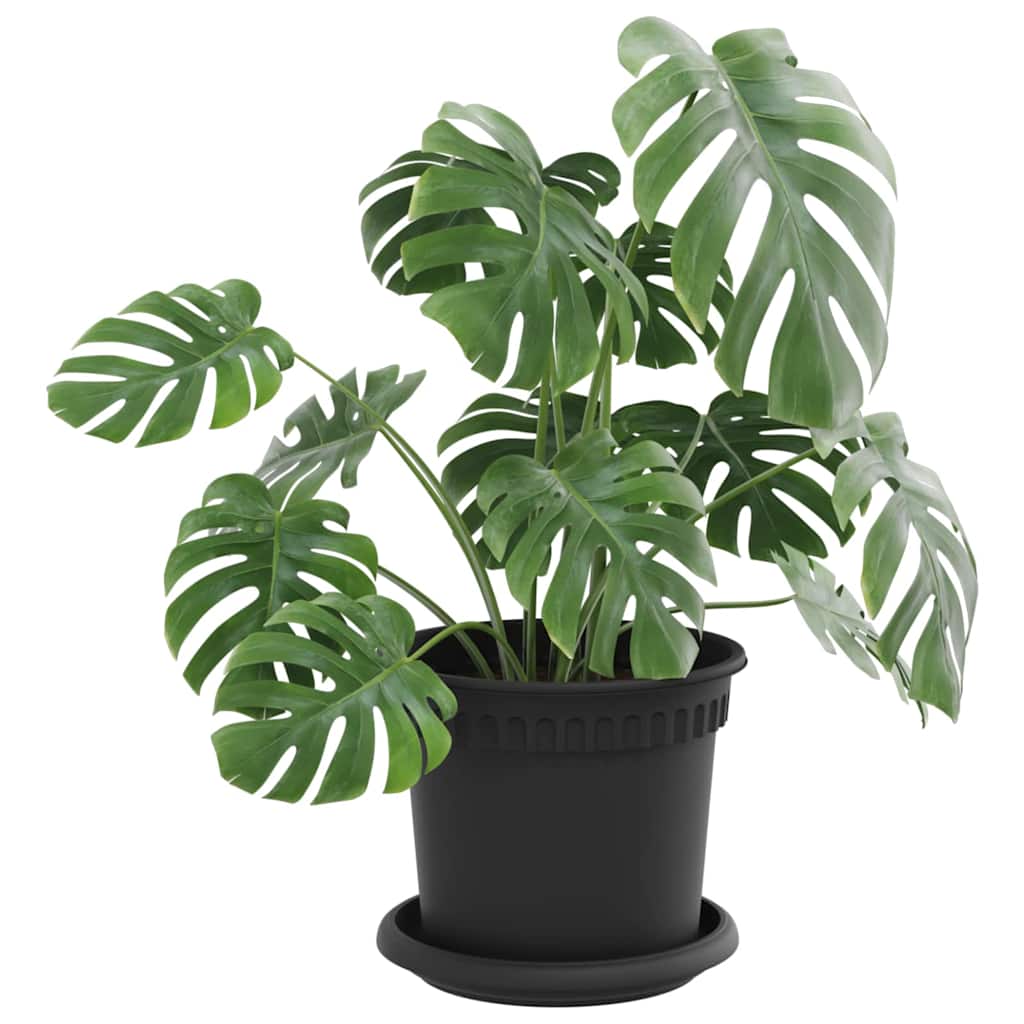 Vasi per Piante 6 pcs Nero Ø 15 x 12 cm Plastica