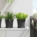 Vasi per Piante 6 pcs Nero Ø 19 x 16 cm Plastica