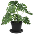 Vasi per Piante 24 pcs Nero Ø 12,5 x 10 cm Plastica