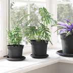 Vasi per Piante 24 pcs Nero Ø 15 x 12 cm Plastica