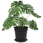 Vasi per Piante 24 pcs Nero Ø 17 x 14 cm Plastica