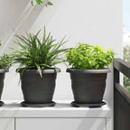 Vasi per Piante 24 pcs Nero Ø 22 x 18 cm Plastica