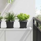 Vasi per Piante 6 pcs Nero 20 x 20 x 16 cm Plastica