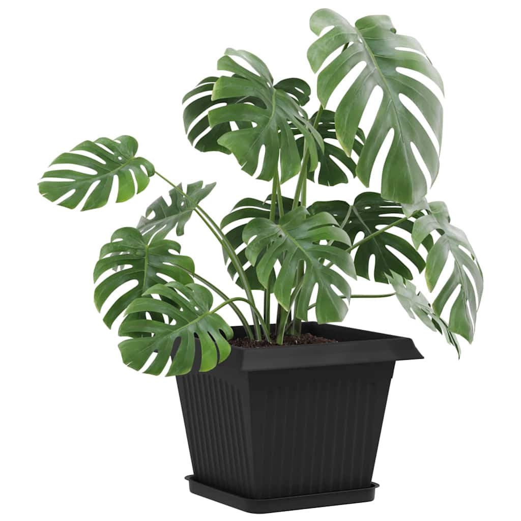 Vasi per Piante 6 pcs Nero 28,5 x 28,5 x 22 cm Plastica