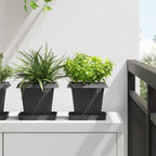 Vasi per Piante 24 pcs Nero 16 x 16 x 14 cm Plastica