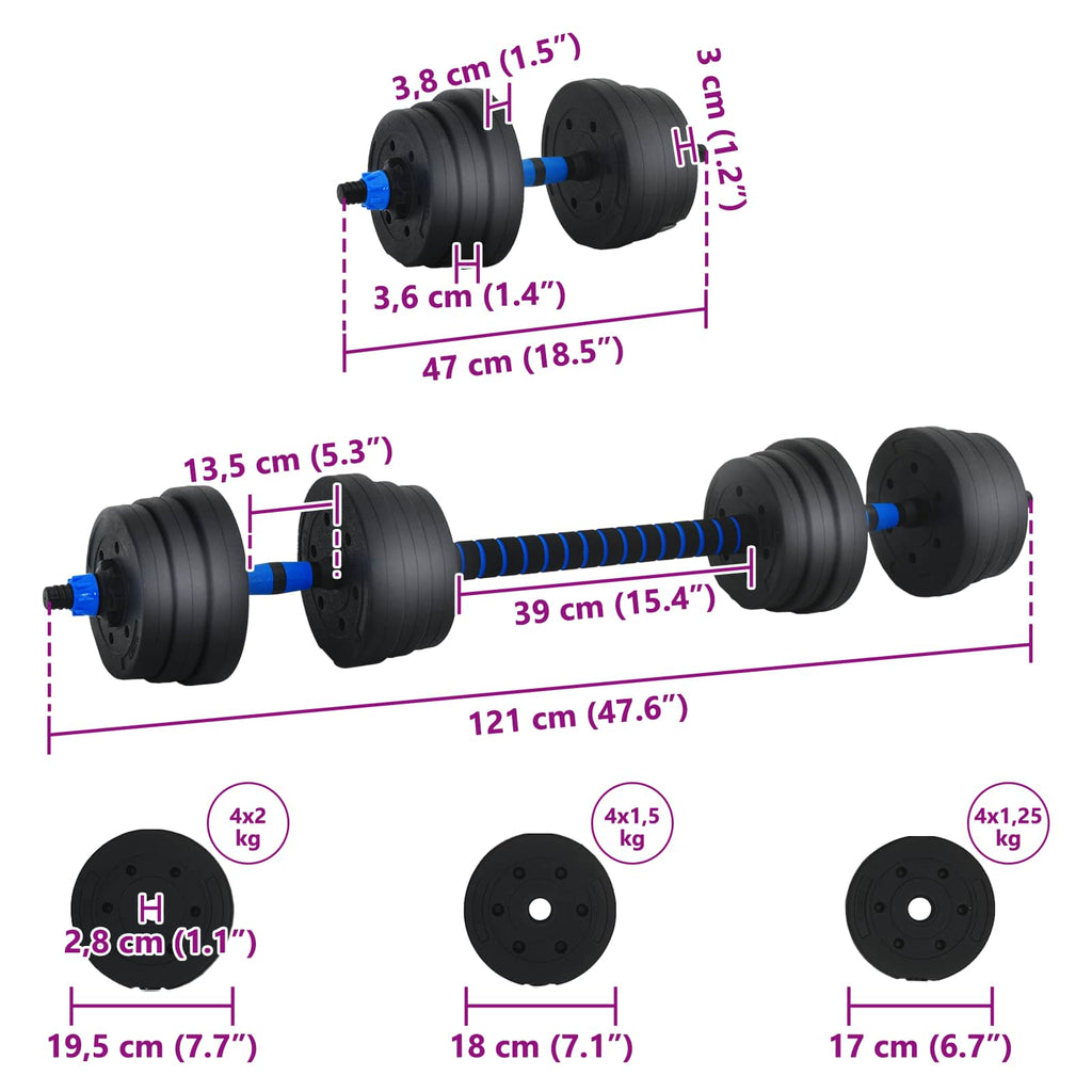 Set di Manubri 2-in-1 30kg Nero e Blu Cemento e sabbia di ferro