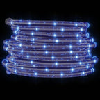 Luce a corda con 2400 LED Bianco Freddo 100 m PVC