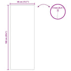 Specchio da parete Rettangolare 40 x 100 cm vetro temperato
