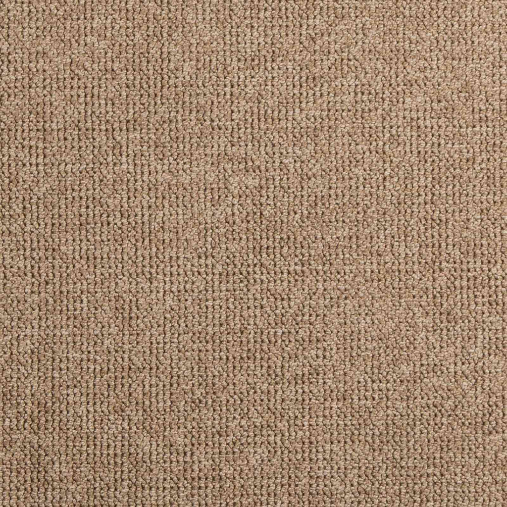 Tappeti per area AGIRA Naturale 340 x 240 cm Poliestere