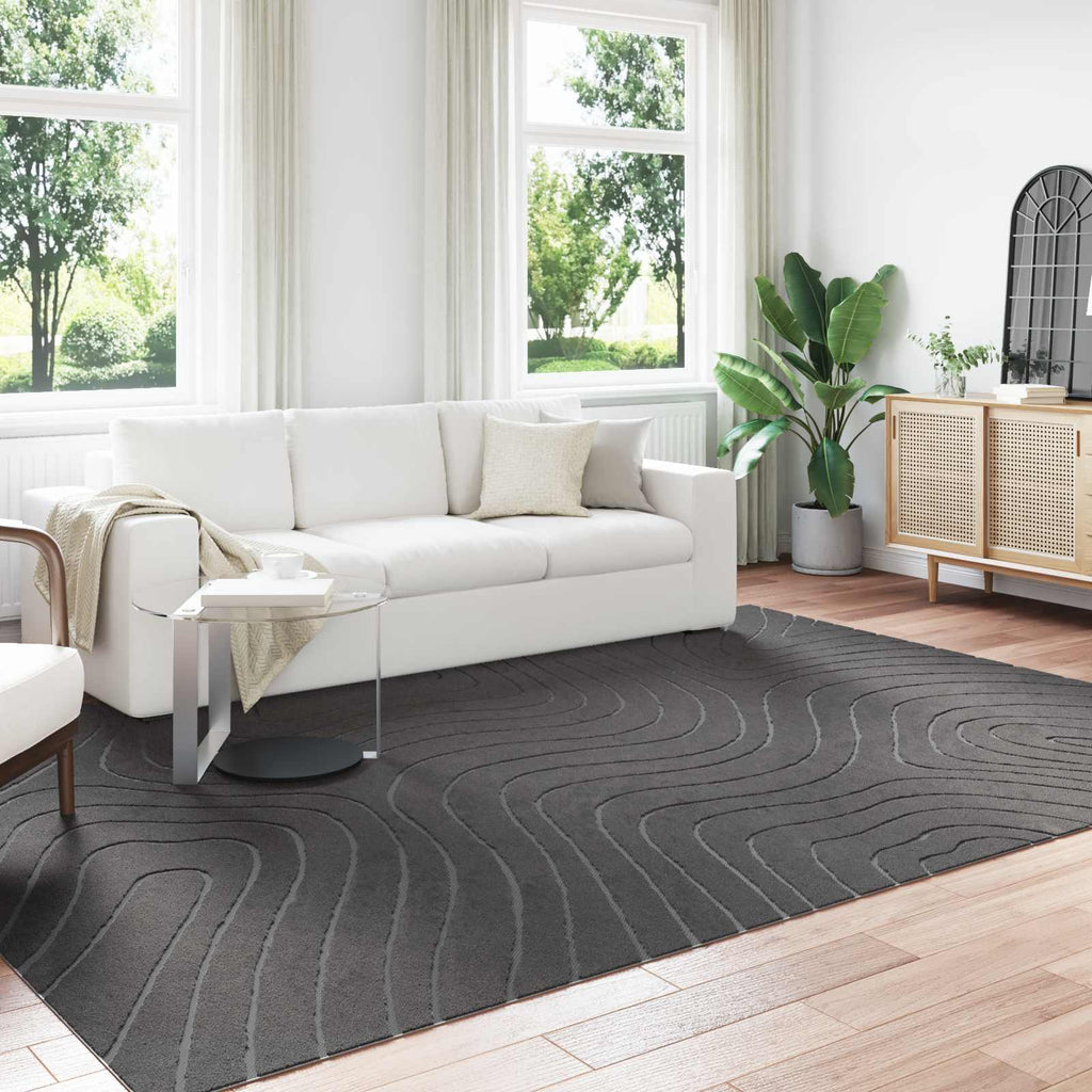 Tappeti per area PALMERAS Antracite 280 x 200 cm Poliestere