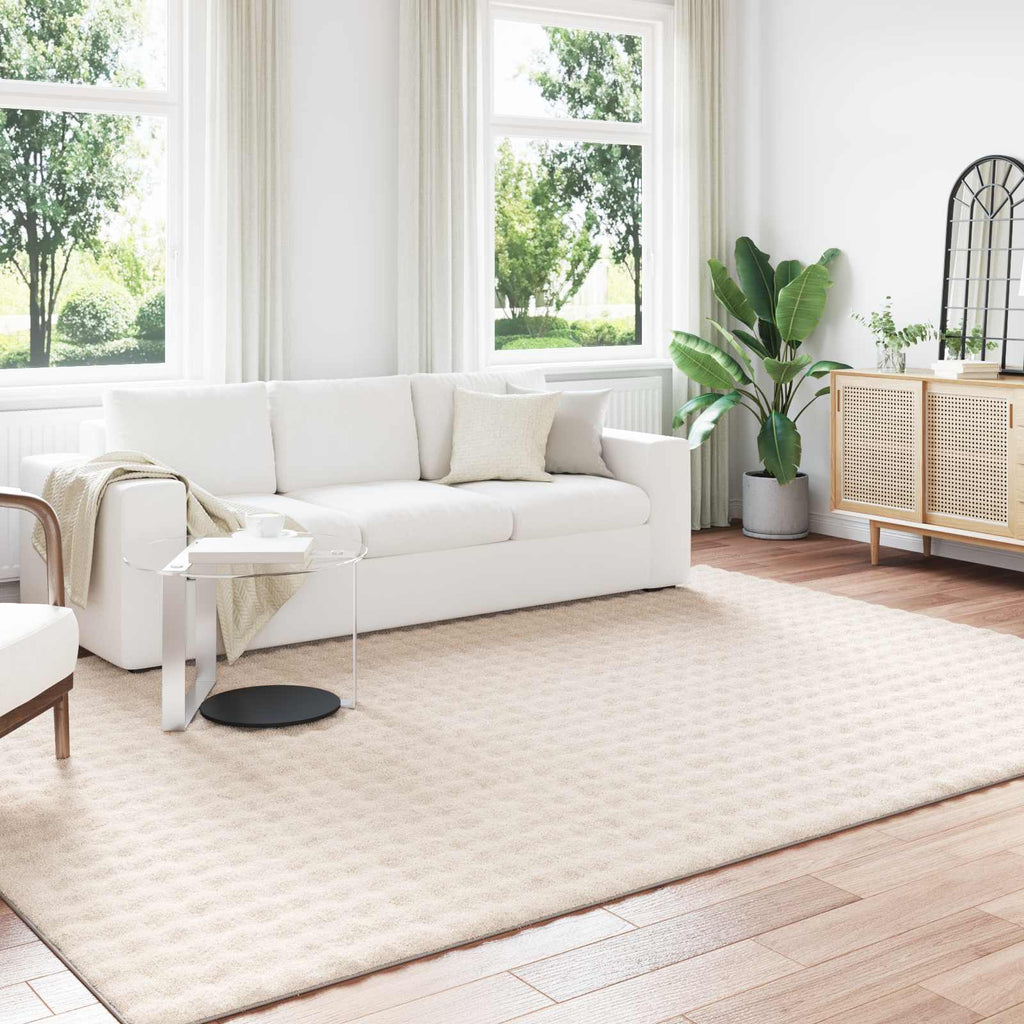 Tappeti per area SIROLO Beige 280 x 200 cm Poliestere