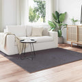 Tappeti per area SIROLO Antracite 120 x 120 cm Poliestere