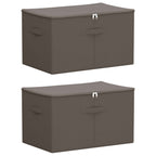 Scatola di Stoccaggio 2 pcs Grigio 55 x 35 x 32 cm