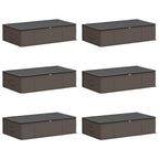 Scatola di stoccaggio con finestra trasparente in alto 6 pcs