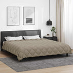 Duvet Invernale Grigio chiaro 200 x 240 cm Microfibra