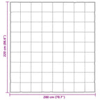 Piumone Completo Annuale Oro 200 x 220 cm Satin e Micropile