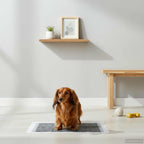 Telo per addestramento per animali in tessuto non tessuto 400 pcs