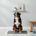 Telo per addestramento per animali in tessuto non tessuto 300 pcs