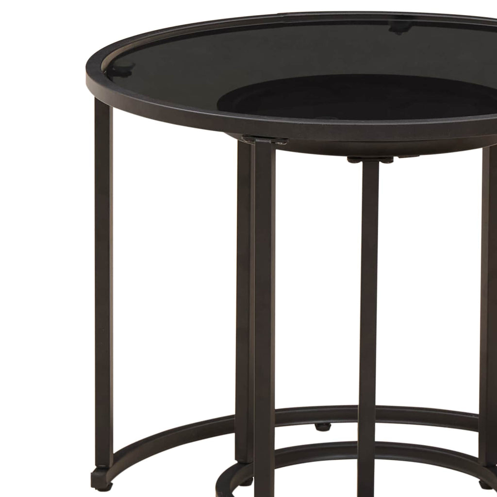 Set di Tavolini da Caffè 2 pcs 55 x 55 x 45 cm acciaio