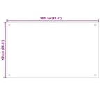 Schienale da cucina 2 pcs Bianco 100 x 60 cm vetro temperato