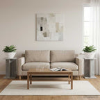 Supporto per piante 2 pcs Grigio Cemento 25 x 25,5 x 40,5 cm