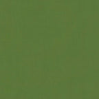 Duvet Estivo Trapuntato Verde 155 x 220 cm Microfibra